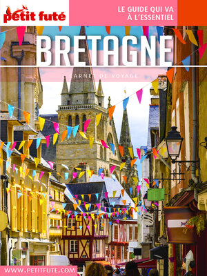 cover image of BRETAGNE 2022 Carnet Petit Futé